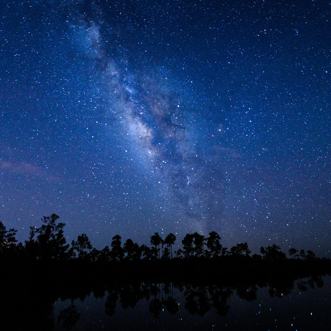 Night Tours